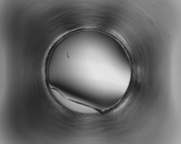 X0000094220939200711091253