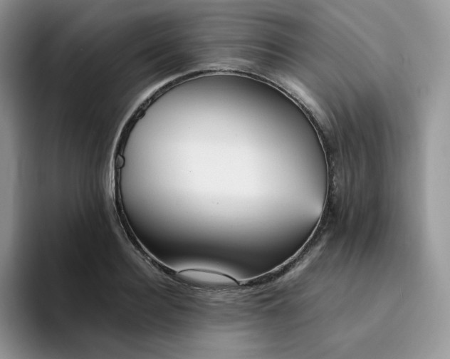 X0000094220940200711091253