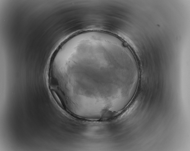 X0000094220941200711091253