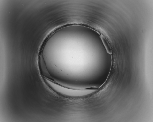 X0000094220942200711091253