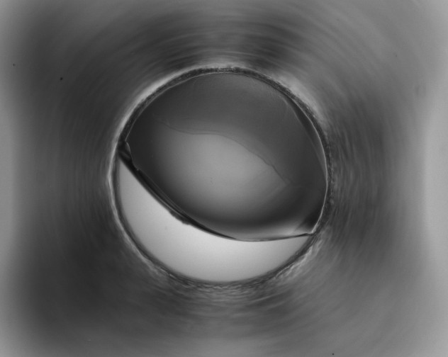 X0000094220943200711091253