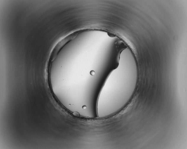 X0000094220944200711091253