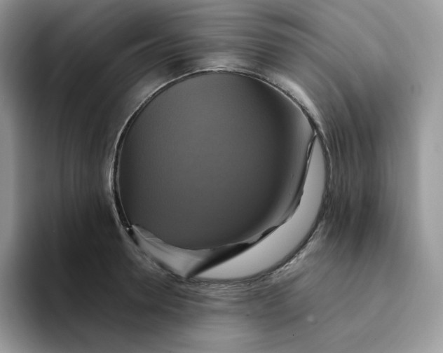 X0000094220946200711091253