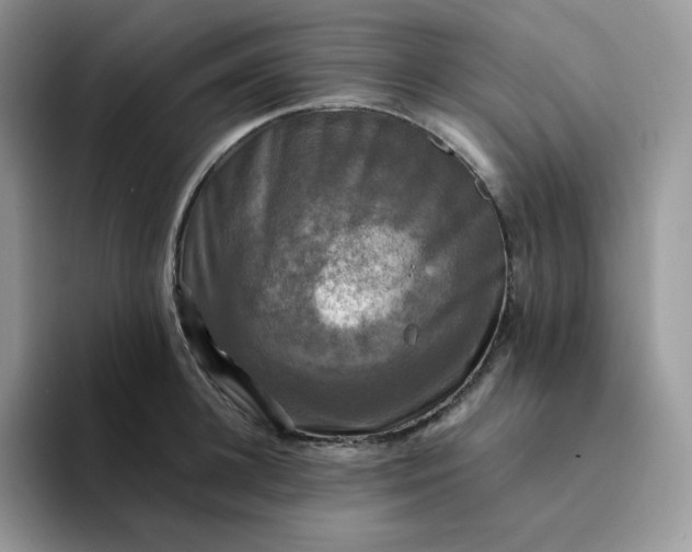 X0000094220948200711091253