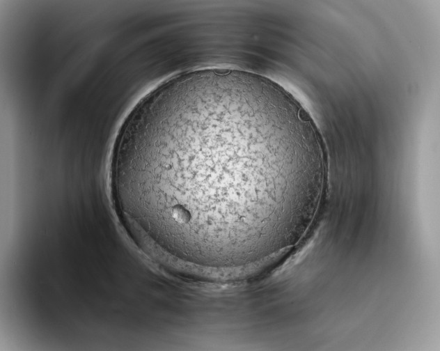 X0000094220949200711091253