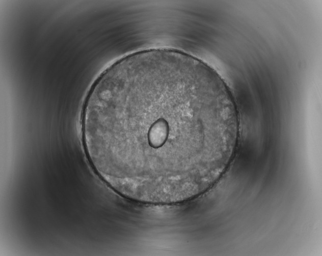 X0000094220950200711091253