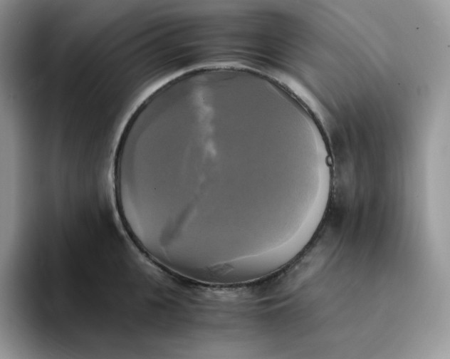 X0000094220951200711091253