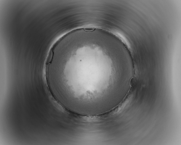 X0000094220952200711091253