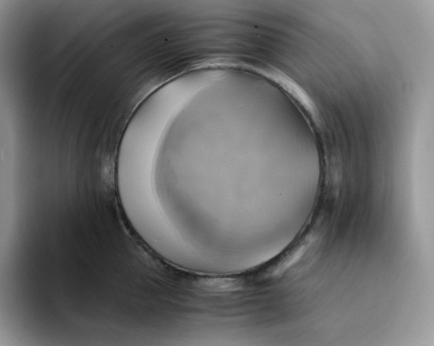 X0000094220953200711091253