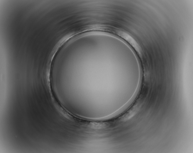 X0000094220954200711091253