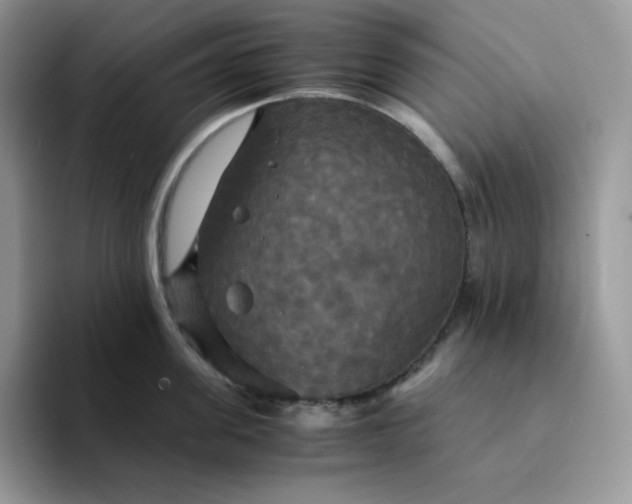 X0000094220955200711091253