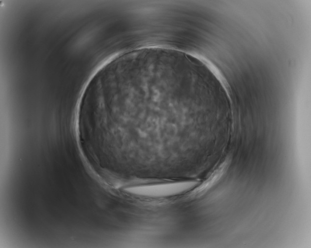 X0000094220957200711091253