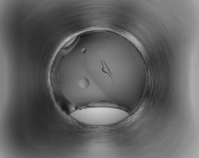 X0000094220958200711091253