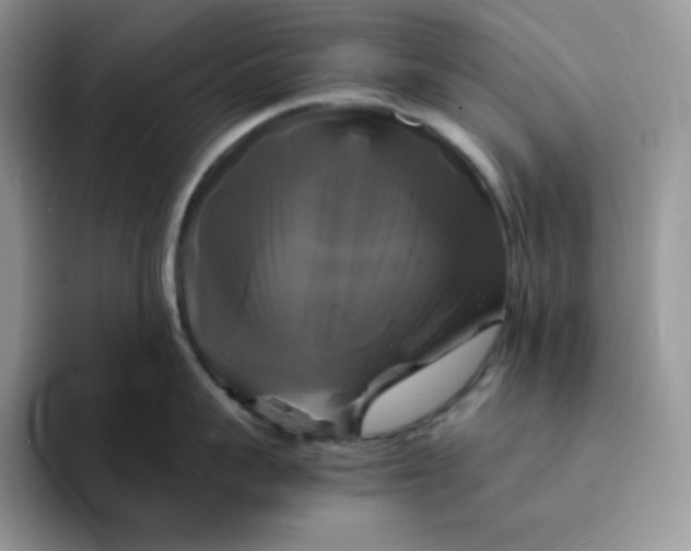 X0000094220959200711091253