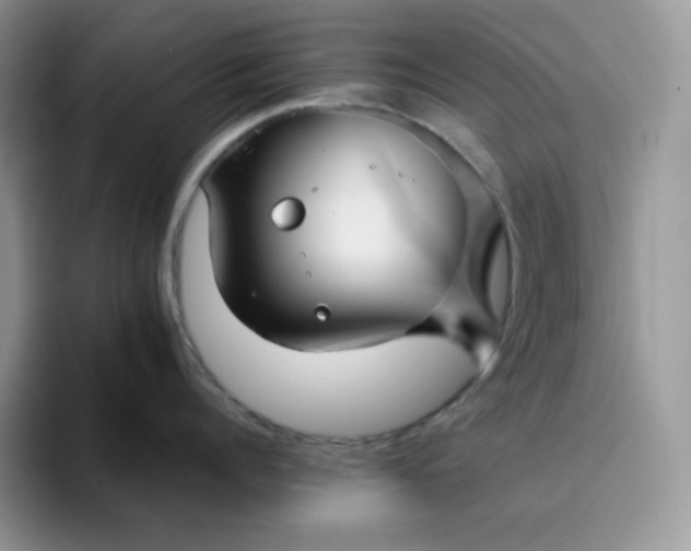 X0000094220960200711091253