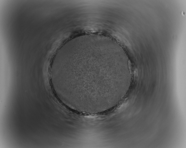 X0000094220961200711091253