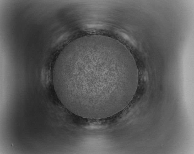 X0000094220965200711091253