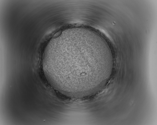 X0000094220967200711091253