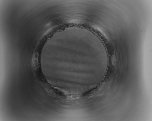 X0000094220968200711091253