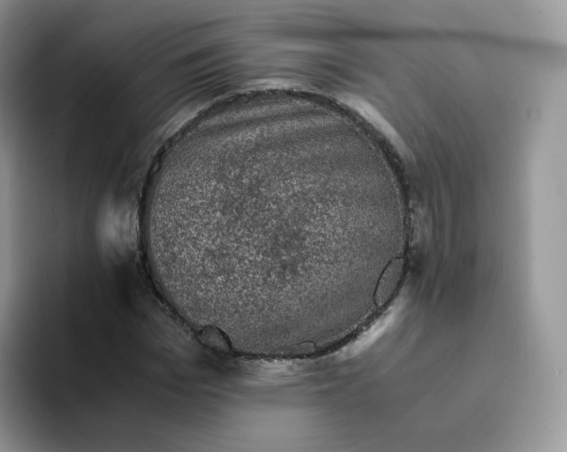 X0000094220969200711091253