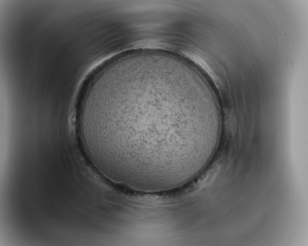 X0000094220971200711091253