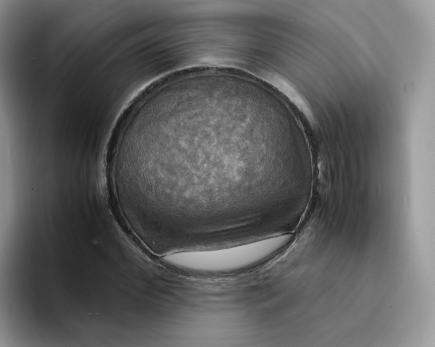 X0000094220972200711091253