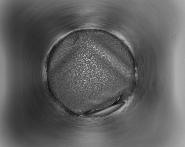 X0000094220973200711091253