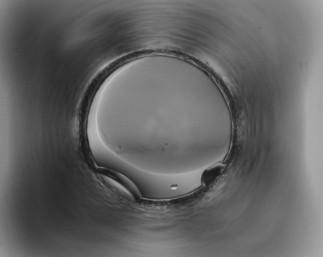 X0000094220975200711091253