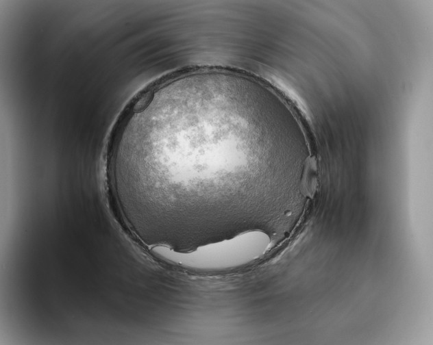 X0000094220976200711091253