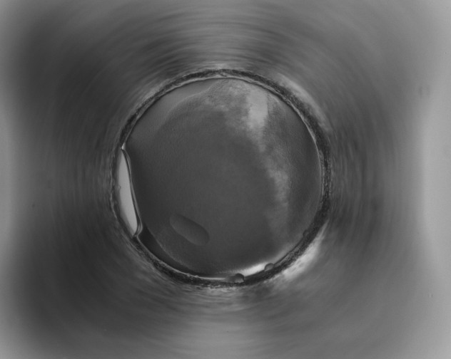 X0000094220977200711091253