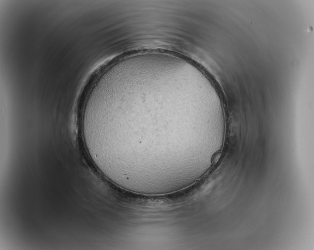 X0000094220979200711091253