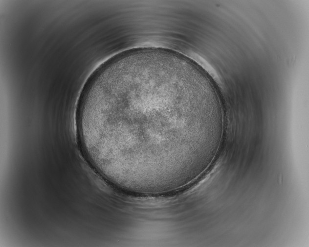 X0000094220980200711091253