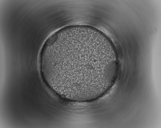 X0000094220981200711091253