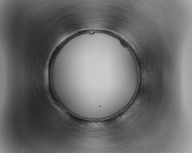 X0000094220982200711091253