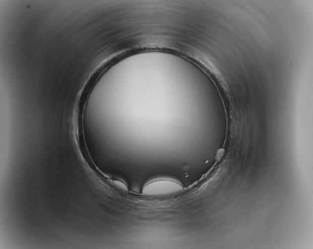 X0000094220984200711091253