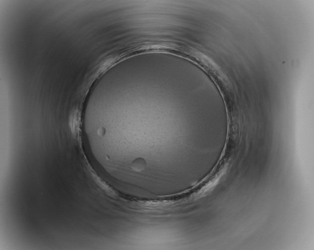 X0000094220985200711091253