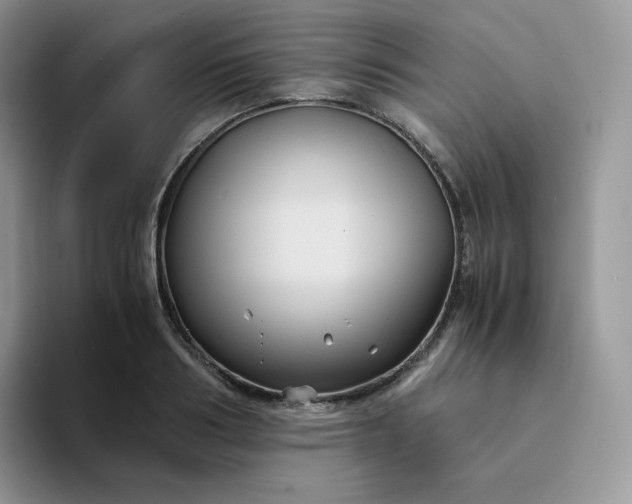 X0000094220986200711091253