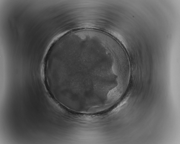 X0000094220987200711091253