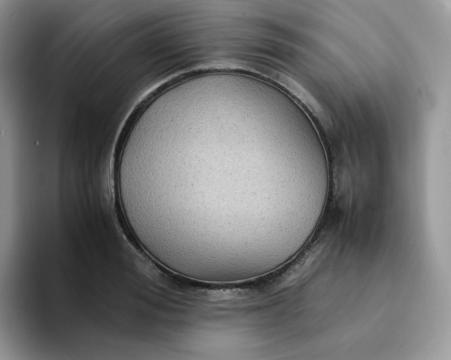 X0000094220988200711091253