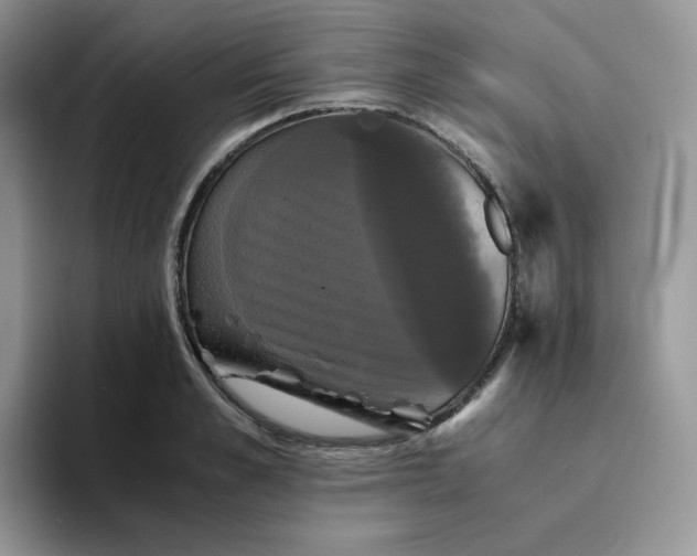 X0000094220989200711091253