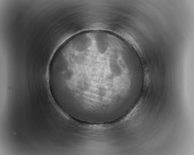 X0000094220990200711091253