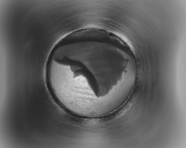 X0000094220991200711091253