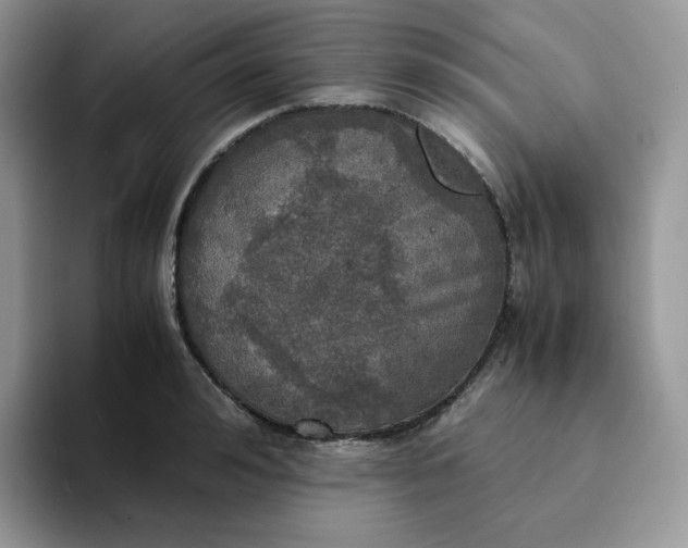 X0000094220992200711091253