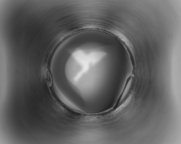 X0000094220993200711091253