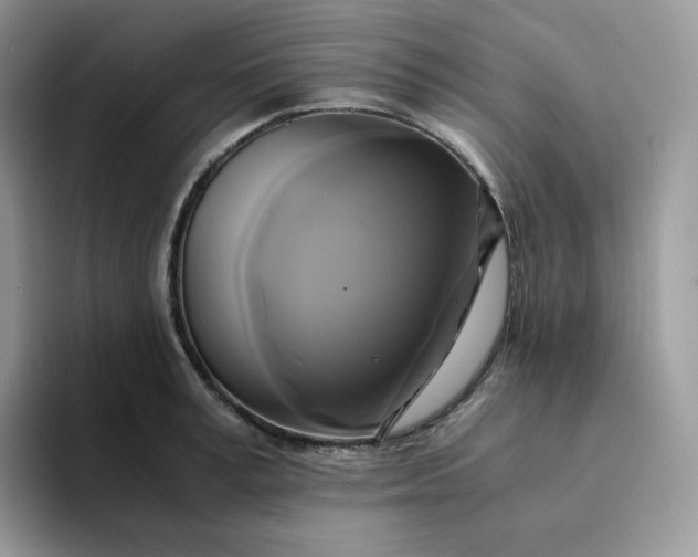 X0000094220995200711091253