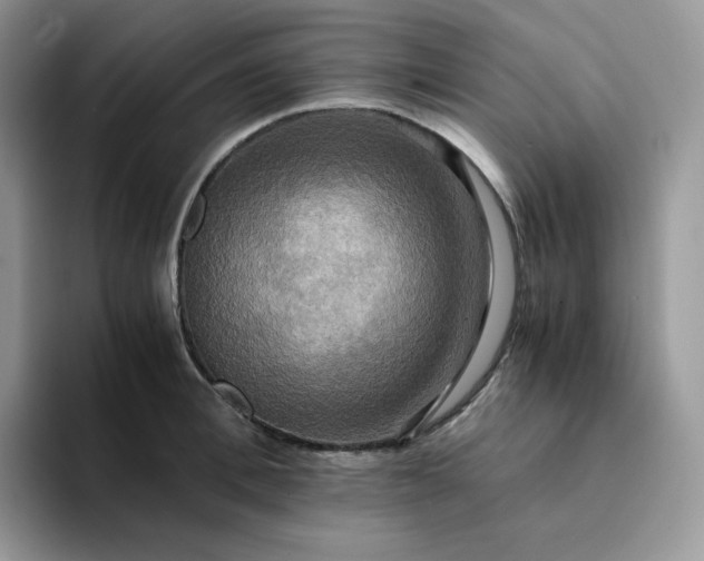 X0000094220996200711091253