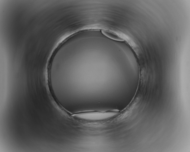 X0000094220998200711091252