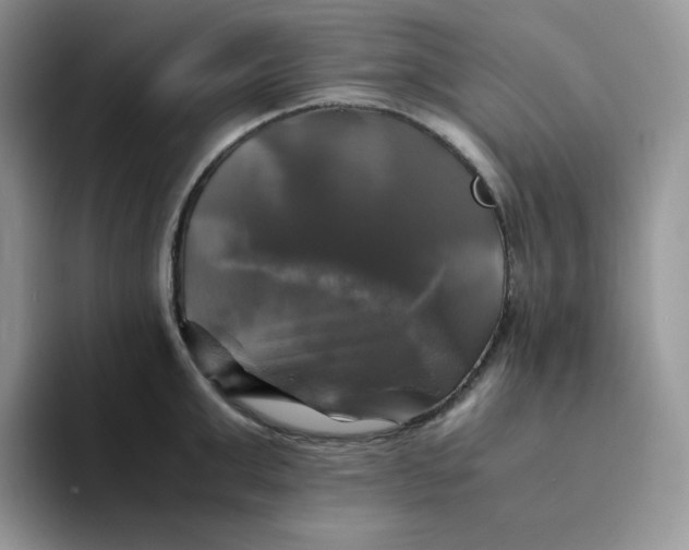 X0000094220999200711091252