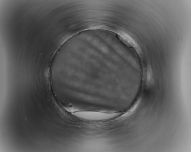 X0000094221001200711091252