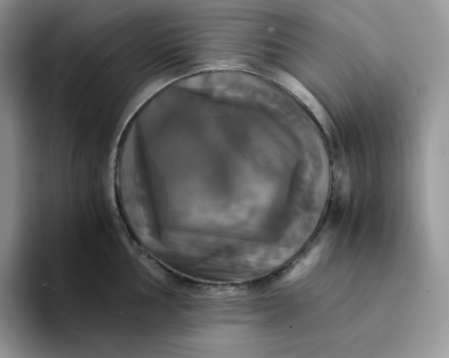 X0000094221002200711091252